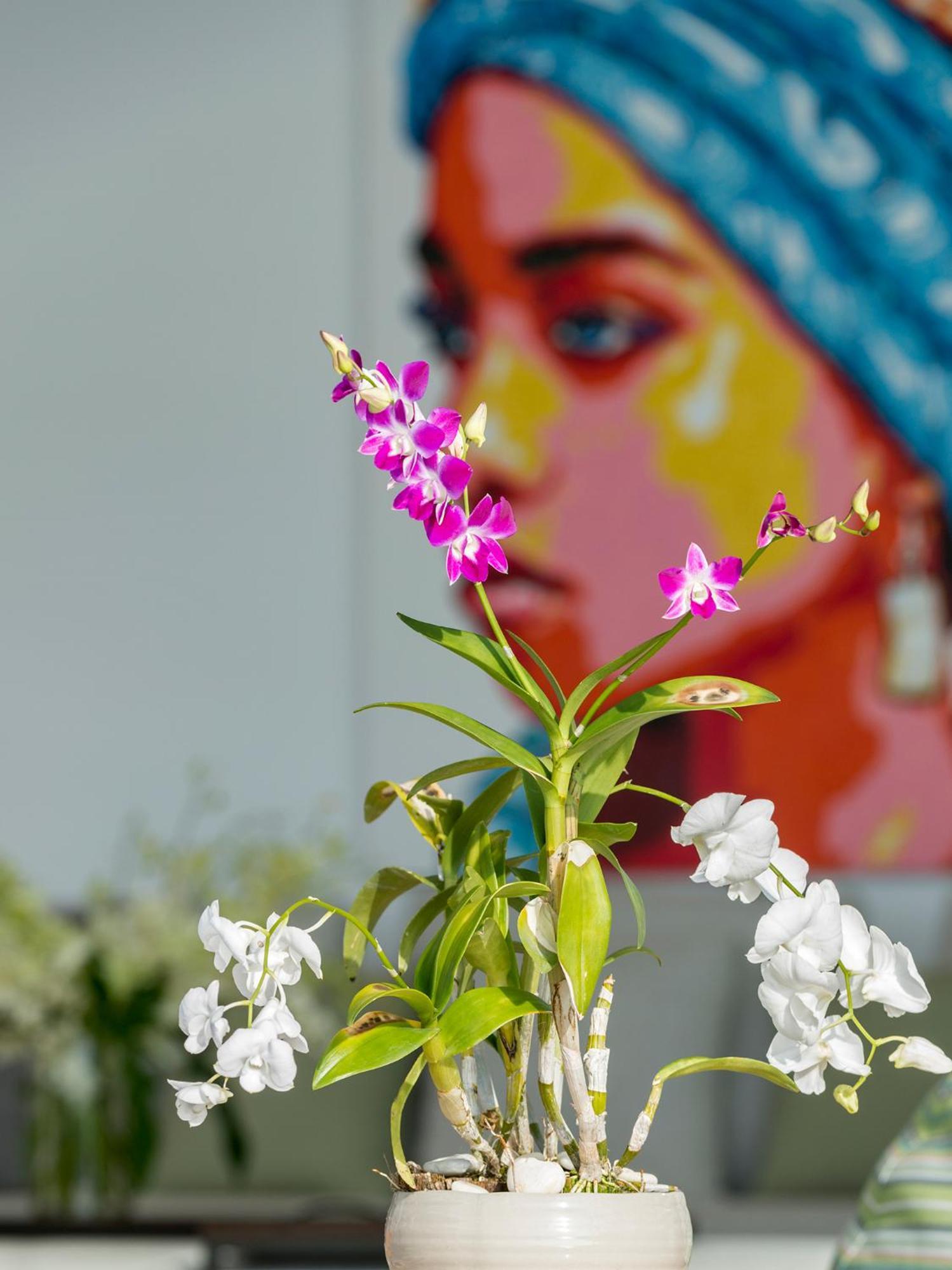 Malaiwana Residences ナイトンビーチ 部屋 写真